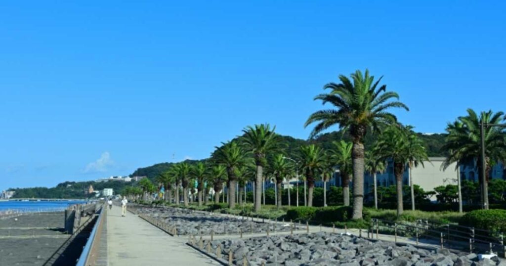 馬堀海岸遊歩道から観音崎まで歩く!横須賀海沿い散歩・ランニング・観光に人気の絶景コース