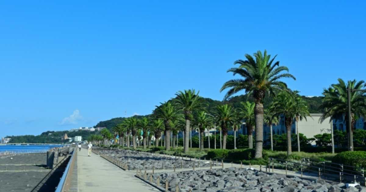 馬堀海岸遊歩道から観音崎まで歩く！横須賀海沿い散歩・ランニング・観光に人気の絶景コース