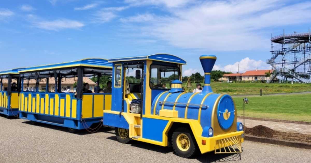 横須賀・ソレイユの丘ジップライン初心者ガイド！料金・服装・行き方・所要時間を解説