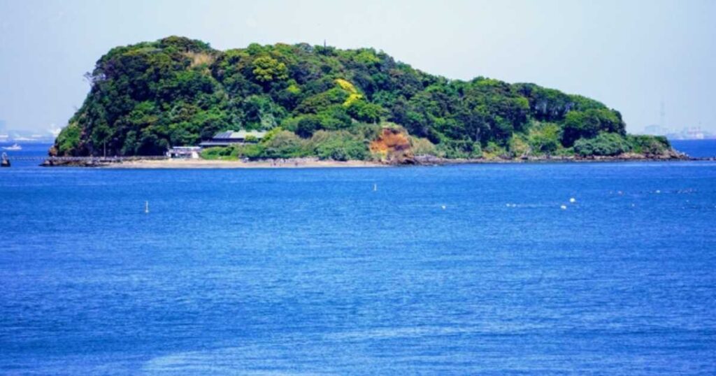 猿島の名前の由来とは?横須賀の無人島がジブリ・ラピュタの島と呼ばれる理由