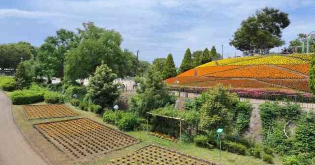 相模原 麻溝公園