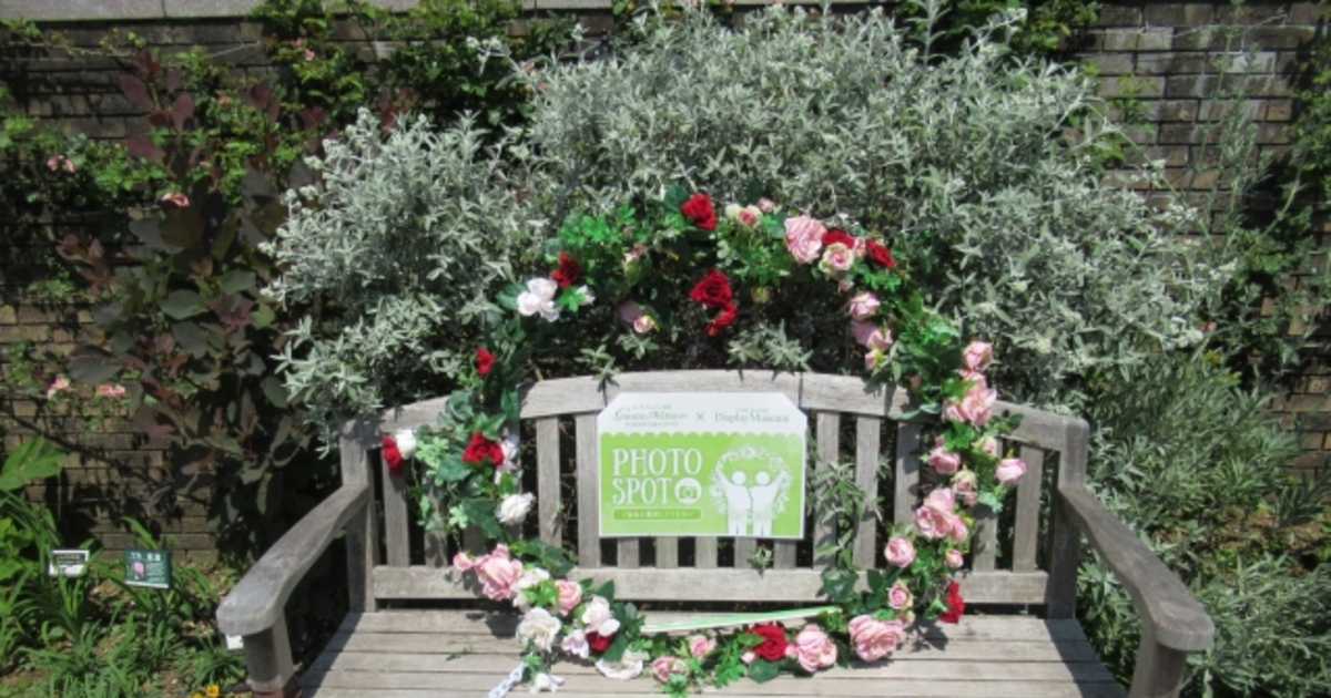 横浜アメリカ山公園のアクセスはエレベーター直結！イルミネーション時間・はちみつ情報も解説